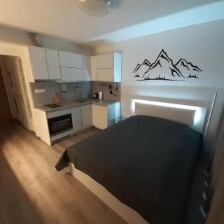 Mountain View Studio Apartment - Poprad - 4