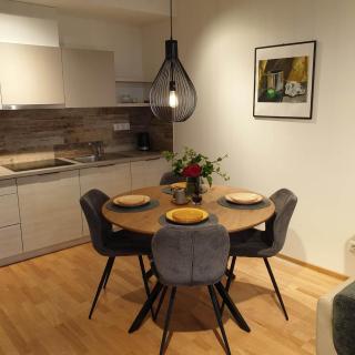 STUNNING VIEW APARTMENT NEAR FERRY TO SMILTYNĖ - 5