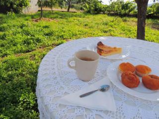 Casa de Ribeira Sacra - 3