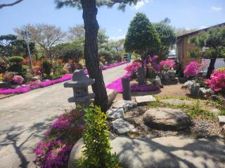 Seoak Stay - Gyeongju - 9