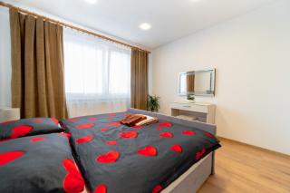 Apartmán Discreet - Kysucké Nové Mesto - 1