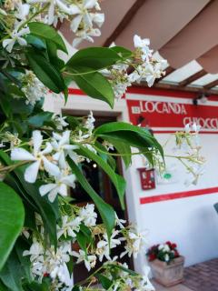 Locanda Chiocciola - Quero - 0
