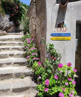 Eden tra i limoni - Minori - 6