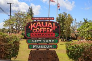 Oceanfront 1 BR Condo at Kaha Lani KL309 - 1