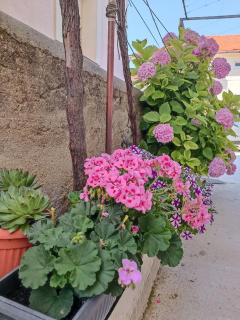 Apartman Gallery Freya - Zara (Zadar) - 9