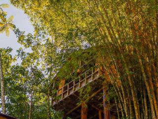 Glamping Río Claro - Doradal - 6