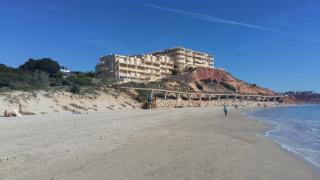 2 Habitaciones Dehesa Campoamor 50 metros a la playa - Campoamor - 4