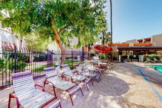 Scottsdale's Stunner - Scottsdale - 6
