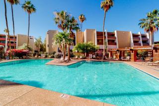 Scottsdale's Stunner - Scottsdale - 4
