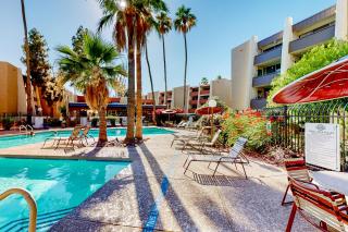 Scottsdale's Stunner - 6