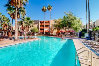 Scottsdale's Stunner - 4