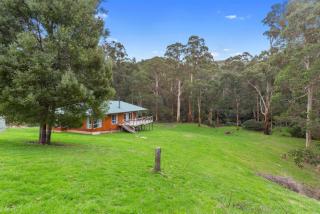 A Little Touch Of Paradise - 0