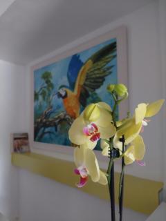 L83 - rooms and apartments - Lisbona - 7