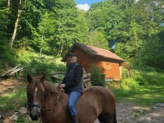 Escapade Romantique: Cabane avec Terrasse Panoramique, Poêle à Bois et Éclairage Multicolore - FR-1-589-441 - Ferdrupt - 2