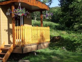 Roulotte cosy avec kitchenette, ruisseau apaisant et espace bien-être, nuit insolite à Ferdrupt - FR-1-589-444 - Ferdrupt - 9