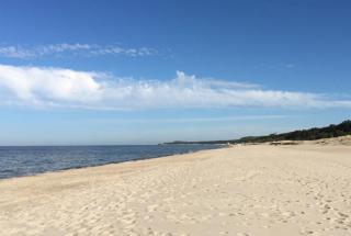 Düne 9 mit Hund - nur 80 m vom Strand - Ostseebad Karlshagen - 1
