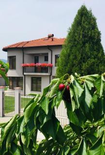 KATERINA guest house - Kocherinovo - 2
