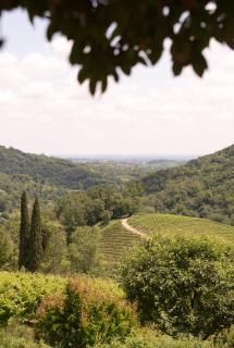 Ville d'Arfanta - Arfanta - 6