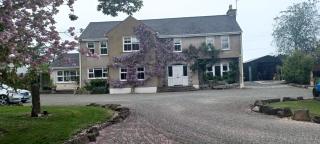 Buvinda - Drogheda - 8