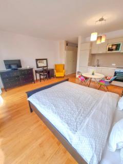 Downtown Premium Apartments - Braşov - 5