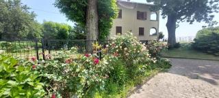 Casa in montagna con giardino privato recintato - Andrate - 6