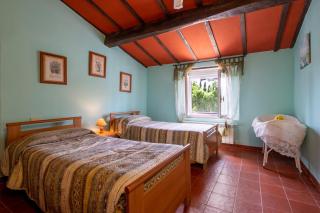 La pieve - Margherite - 7