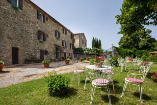La pieve - Tulipani - Pereta - 0