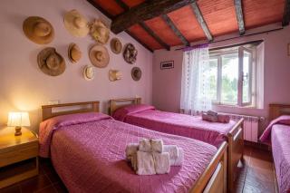 La pieve - Tulipani - Pereta - 8