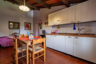 La pieve - Tulipani - Pereta - 1