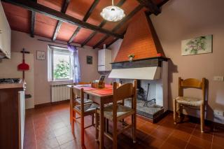 La pieve - Tulipani - Pereta - 6