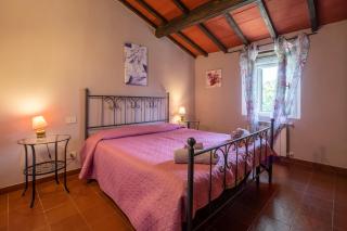 La pieve - Tulipani - Pereta - 7