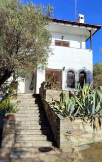 Mike's Seaside House - 6
