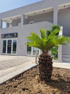 Luxury apartman Imperio - Šibenik - 1
