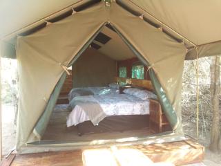 Little5 Camp - Hoedspruit - 6