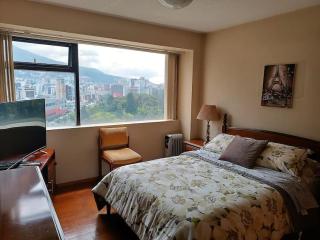 Apartment in Quito (La Carolina) - 6