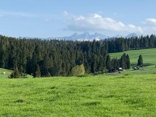 Sowie Domki - Domek Nad Potokiem - Kacwin - 3