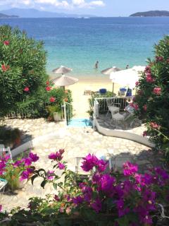 Achladies Beach Apartment - Skiathos Town - 7