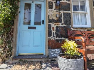 Llygoden Cottage - Caernarfon - 9