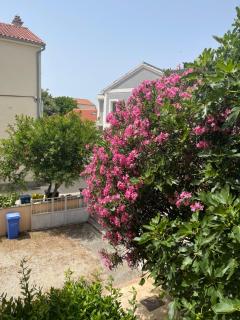 Apartmani Ksenija - Murter - 1