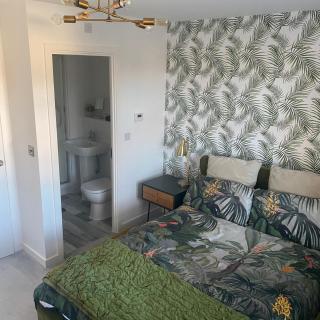Peterborough Brand New City Center Apartment 2 Bedroom 2 bath apartment free parking contractors welcome - Peterborough - 0