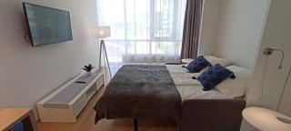 ALL YOU NEED Apartment - 4