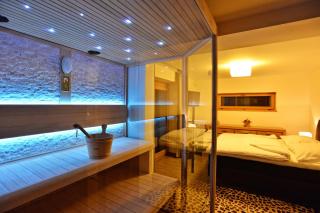 Luxury Wellness Apartment - Rokytnice nad Jizerou - 1