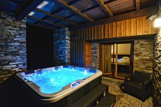 Luxury Wellness Apartment - Rokytnice nad Jizerou - 5
