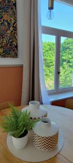 Le Costa Rica - Grand appartement centre ville - Boulogne-sur-Mer - 6