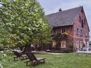 Dom na Krzewiu - Gryfów Śląski - 5