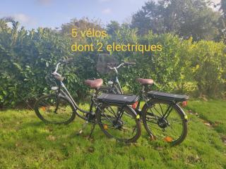 La Belle Paimpolaise - 1