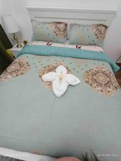 Lovely 2-Bedroom Hall Kitchen Furnished AUH UAE - Abu Dhabi - 8