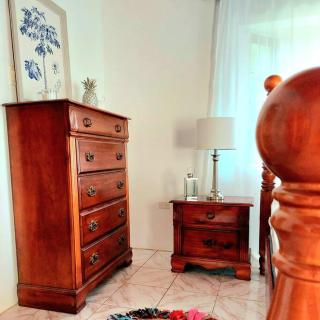 The Happy Retreat Villa in Belmont, Jamaica - Blue Hole - 2