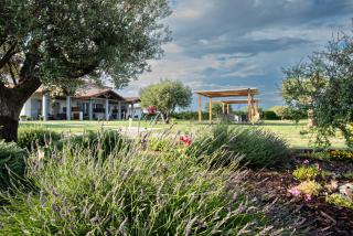 Residence la Pace - Pool & Relax - Marina di Grosseto - 3
