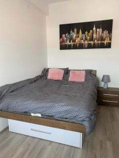 Milojević Apartman - Jagodina - 2